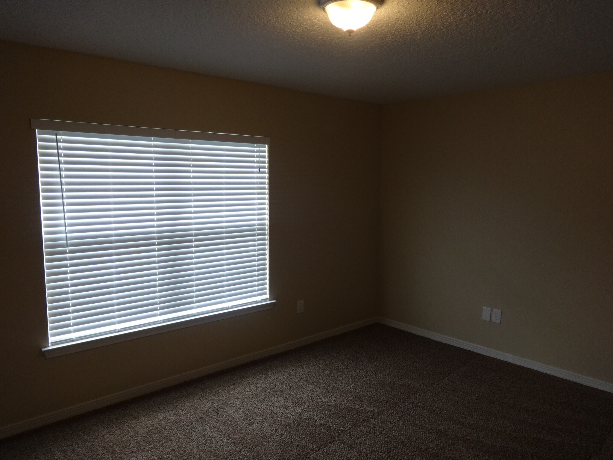 Building Photo - 7652 Vandalay Dr