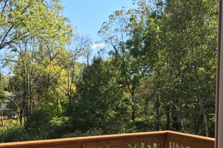 Forest view from deck. - 1088 W Boylston St