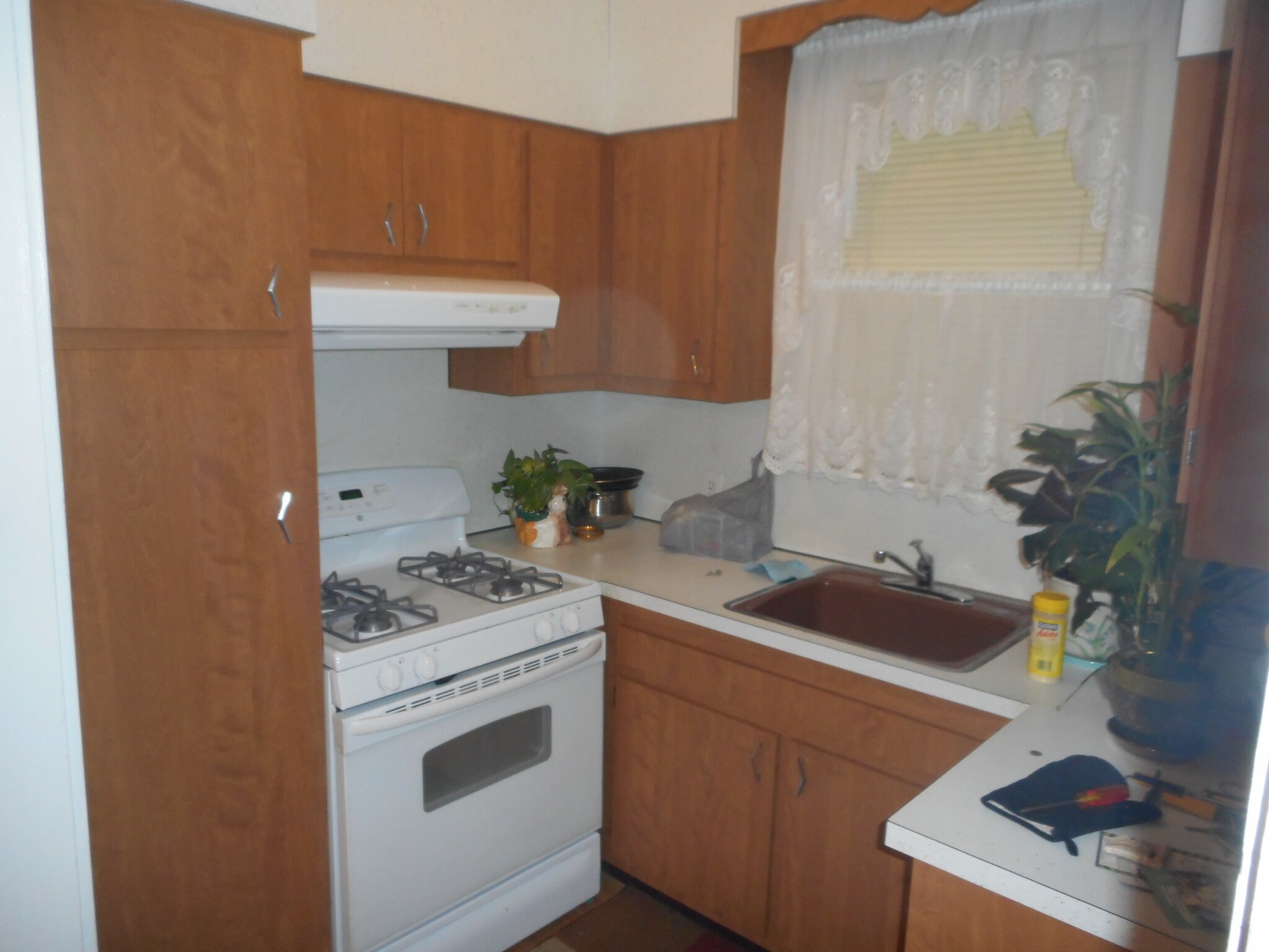Kitchen - 12 Campbell Ave