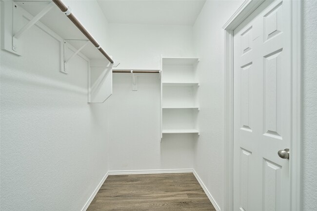 Building Photo - 4201 Amber Ruse Dr