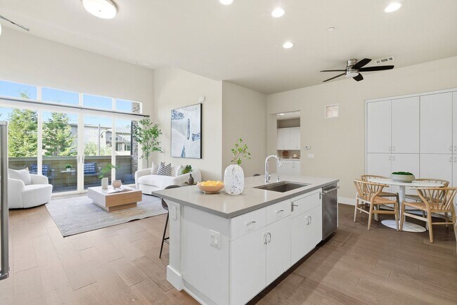 Building Photo - Gorgeous & Modern Los Altos Condo