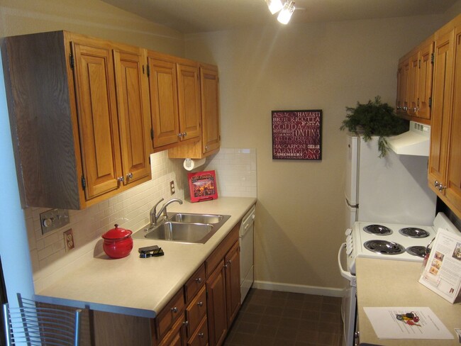 Building Photo - Sunny, Cozy 1 Bedroom Condo - Available fo...