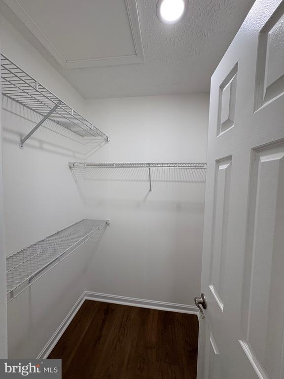 Building Photo - 1441 Landis Cir