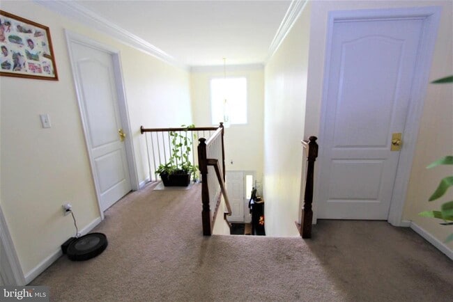 Building Photo - 26 Esterbrook Dr