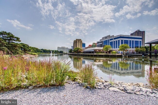Building Photo - 529 Coral Reef Dr