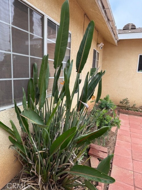 Building Photo - 1741 S Vallecito Dr