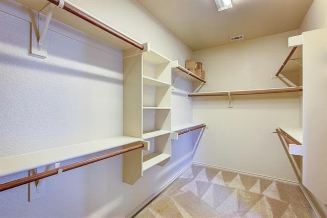 Building Photo - 10825 Irish Glen Trail