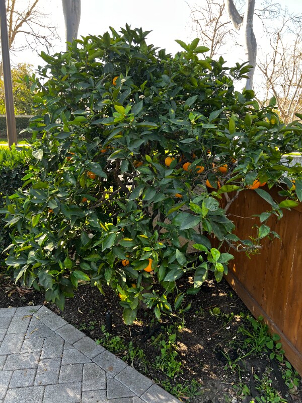 Building Photo - 20 Portside