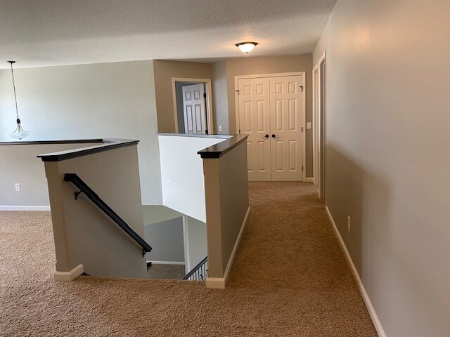 Building Photo - 4830 Halsley Ct