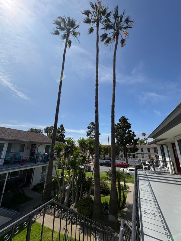 Building Photo - 24257 Santa Clara Ave