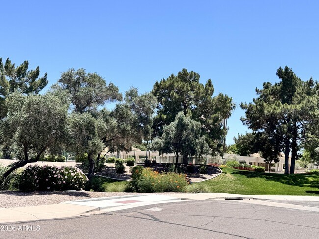 Building Photo - 1461 S Cholla Pl