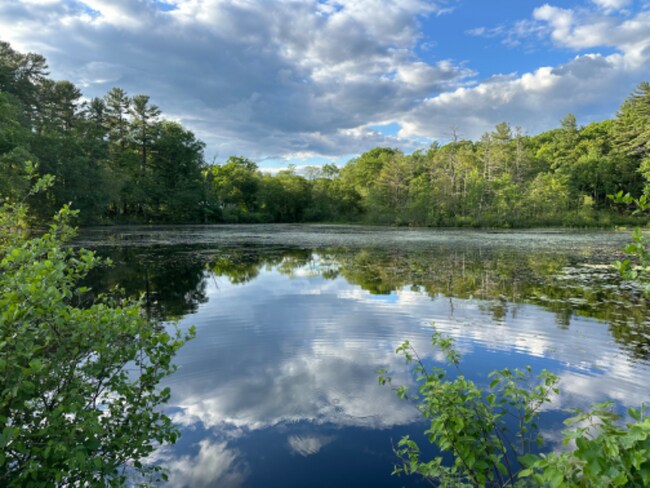 Building Photo - 2 Burdon St