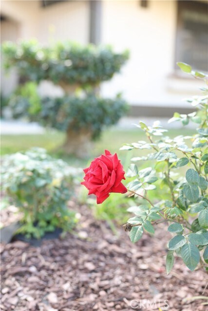 Building Photo - 183 S Starflower St