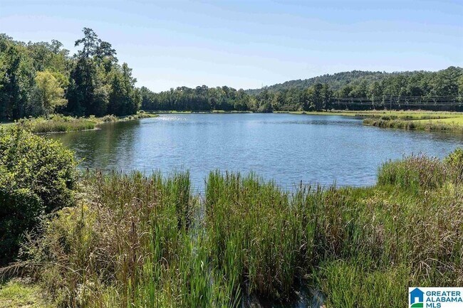 Building Photo - 2148 Forest Lakes Ln