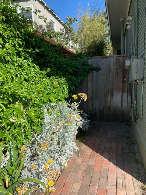 Entrance toward rental cottage - 422 Bay St