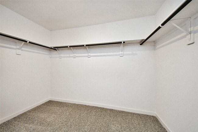 Building Photo - 3531 Shearwater St