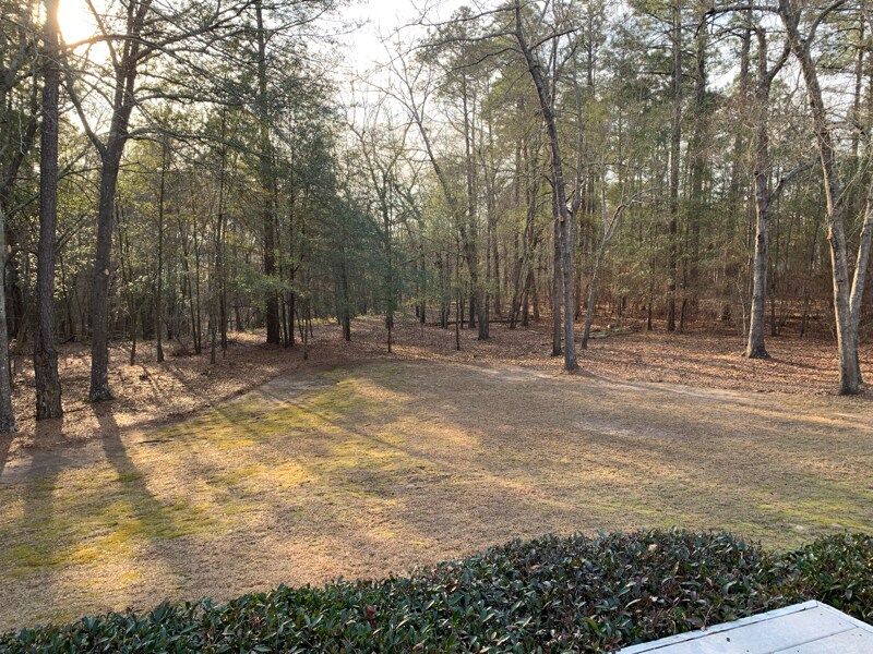 Building Photo - 220 Buck Point Ct