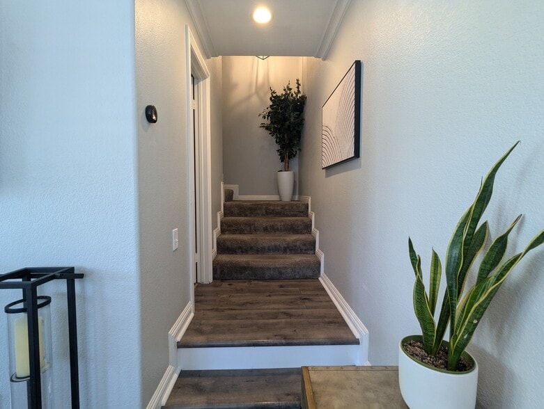 Building Photo - 63 Night Heron Ln
