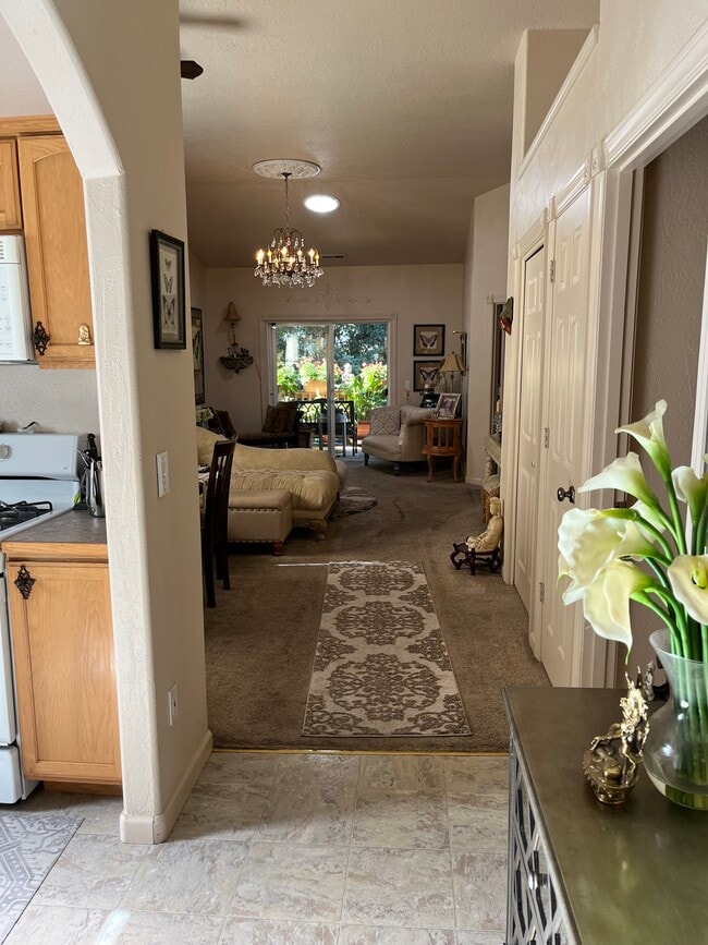 Entryway - 3685 Colony Oaks Dr