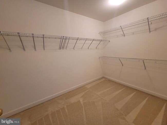 Building Photo - 1509 Rutland Way