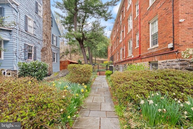 Building Photo - 3039 Macomb St NW