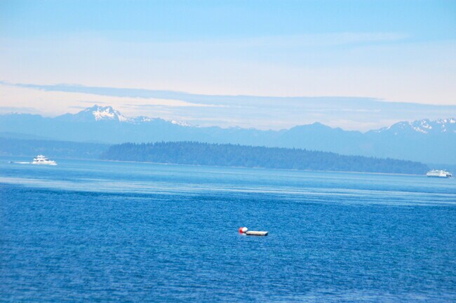 Building Photo - West Seattle Waterfront Condominium ~ West...