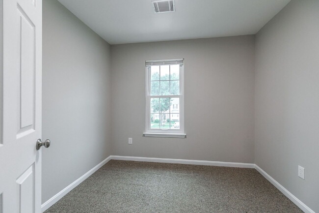 Building Photo - 1043 Downing Ct