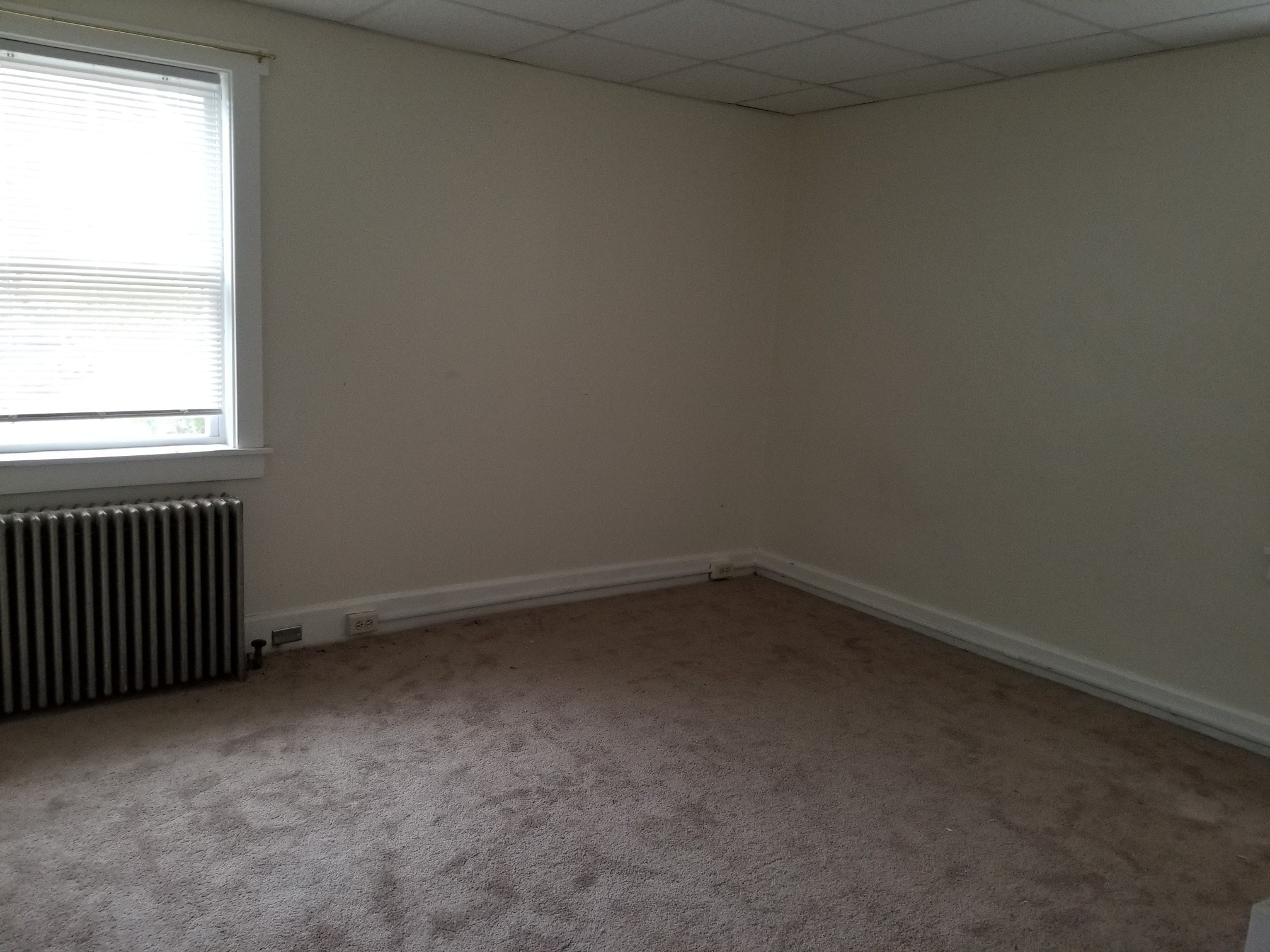 Building Photo - 523 Beech St