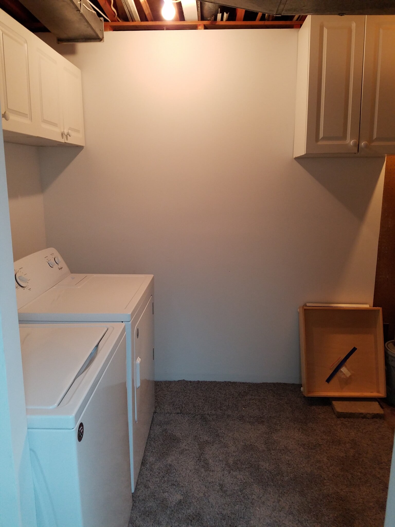 Basement - 6329 Fenestra Ct