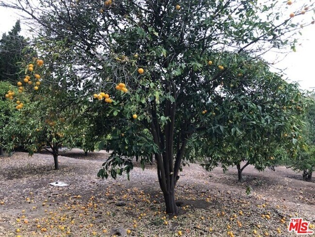 Building Photo - 13045 Ripple Creek Ln