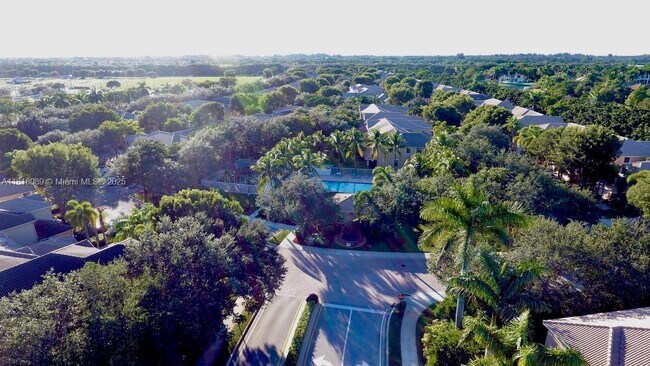 Building Photo - 3899 Tree Top Dr