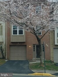 Building Photo - 3943 Collis Oak Ct