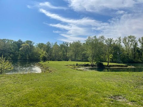 Lake - 2115 Pineshore Ct