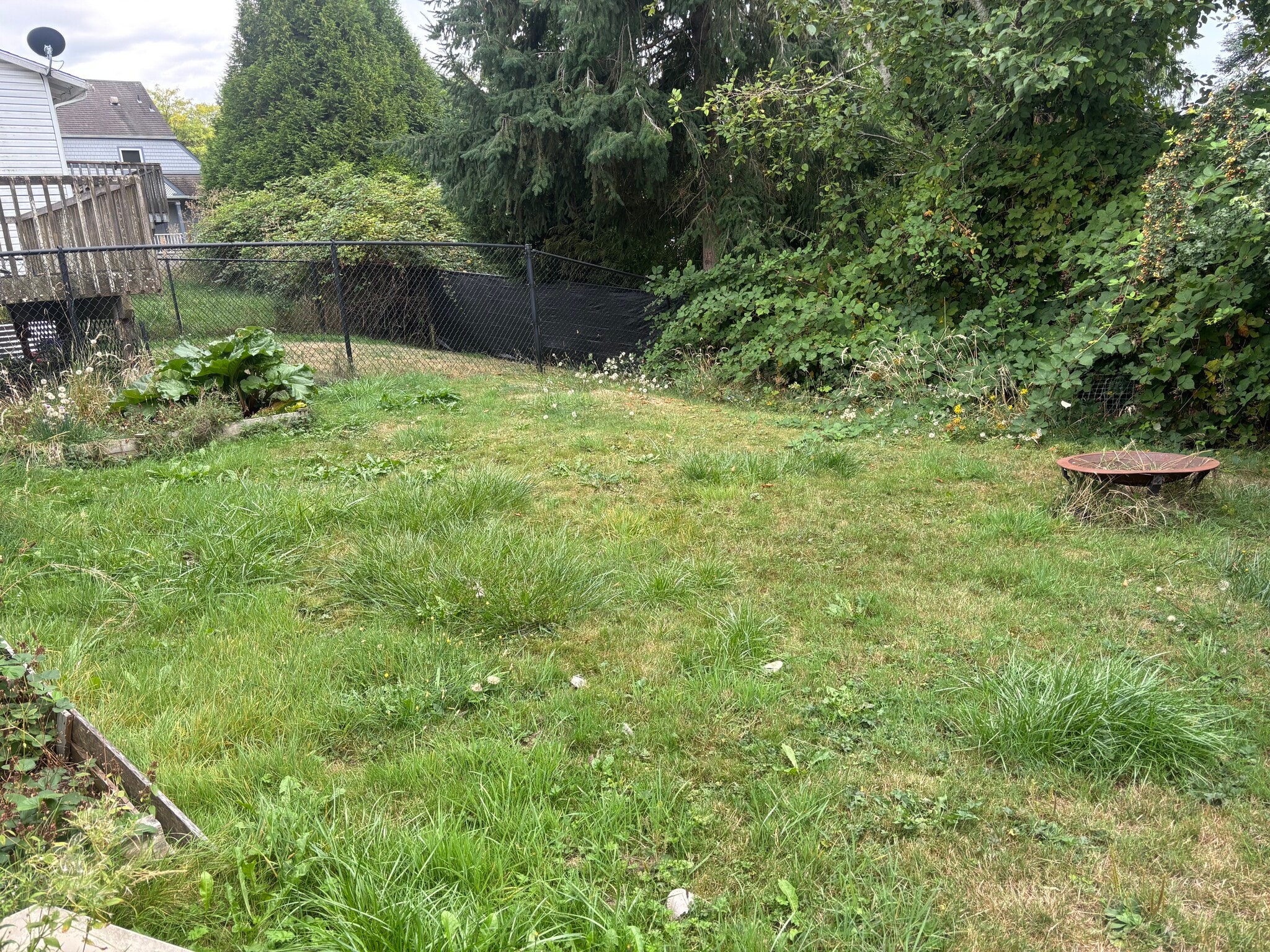 Fenced in Yar - 2420 Claudia Ct