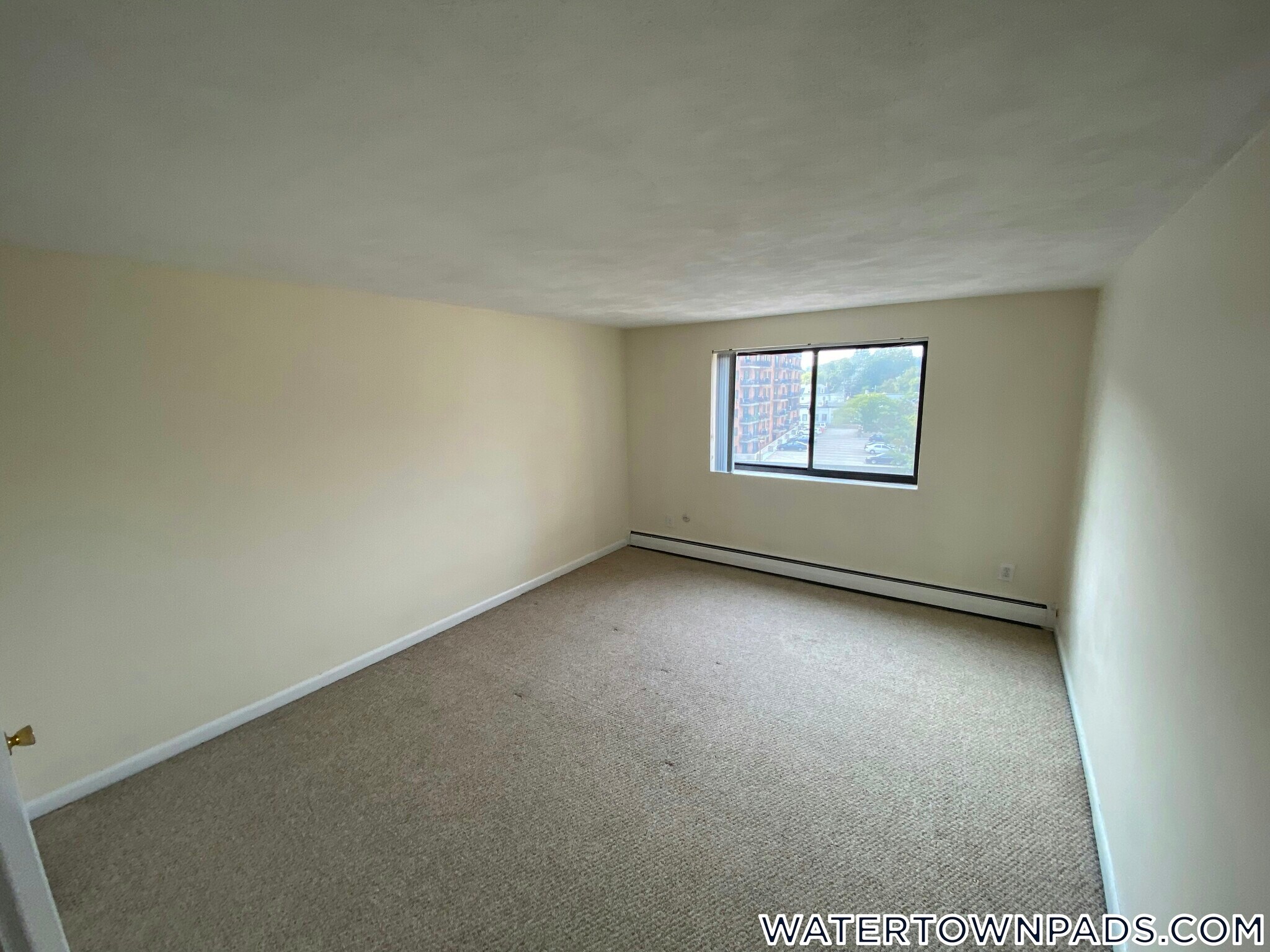 Building Photo - 24 Whites Ave