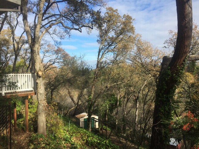 Building Photo - 110 Rock Ravine Ct