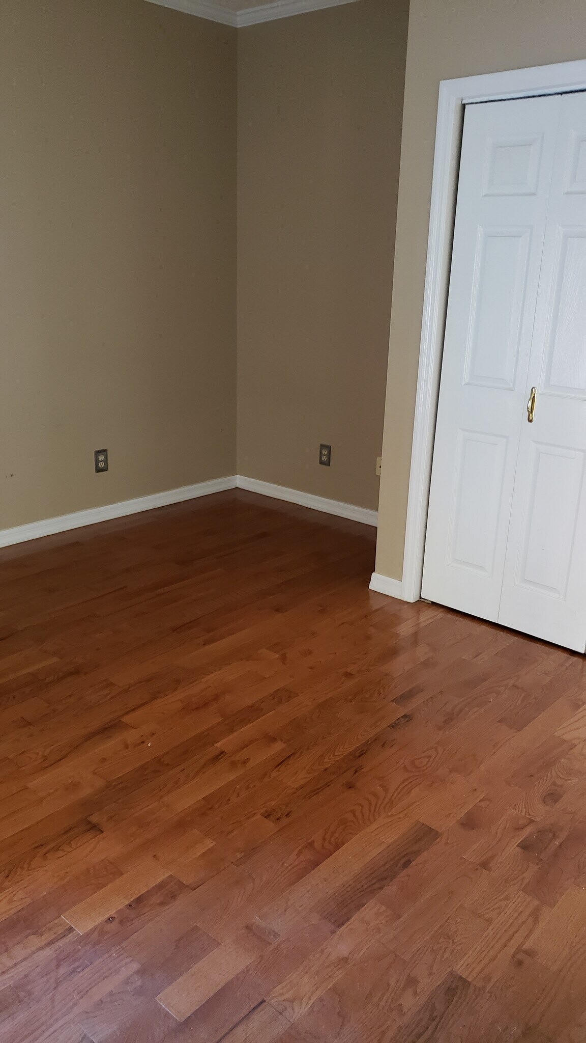 Bedroom - 24985 Capshaw Rd