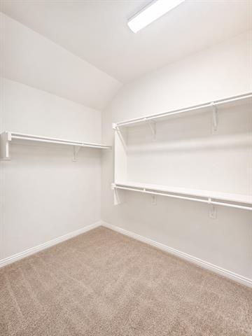 Building Photo - 1124 Rountree Ct