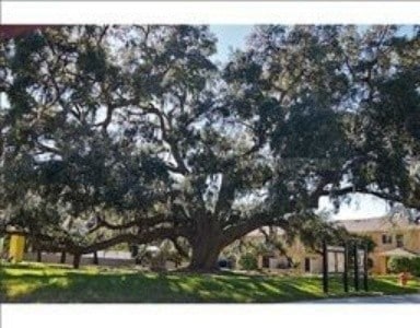 Building Photo - 5309 Aloha Seed Dr