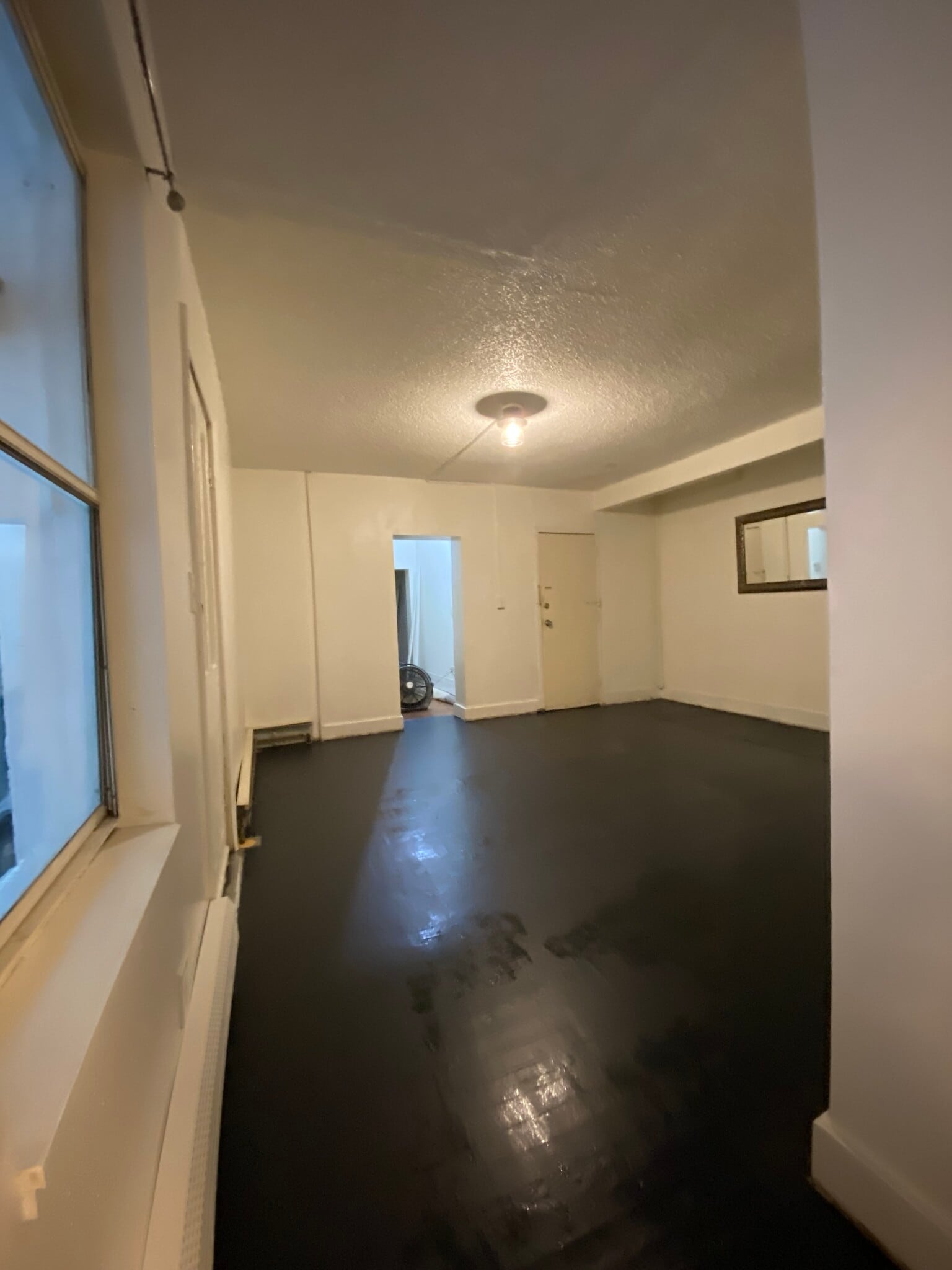 1st floor living room - 217 Hamilton Ave
