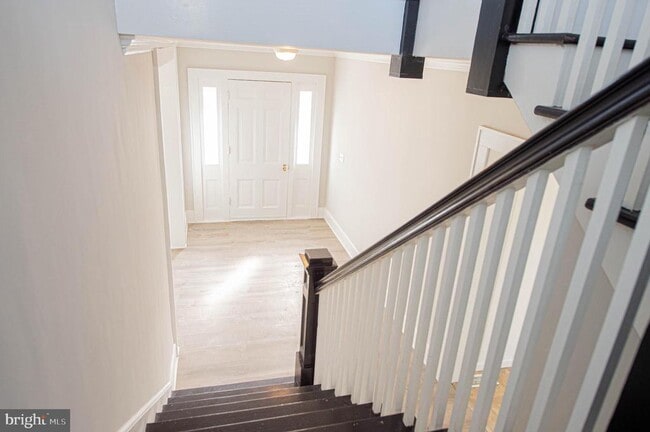 Building Photo - 417 Winder St