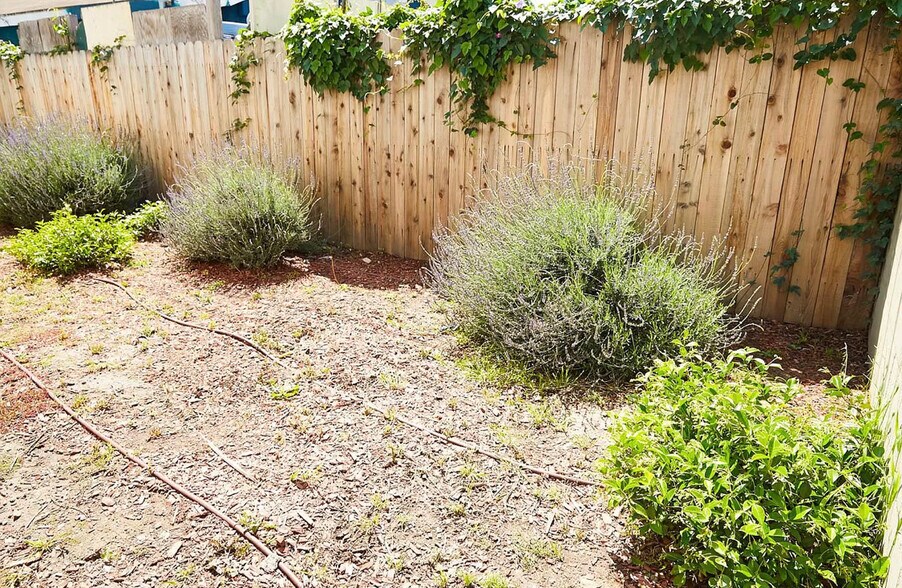 Building Photo - 4838 W 18th St