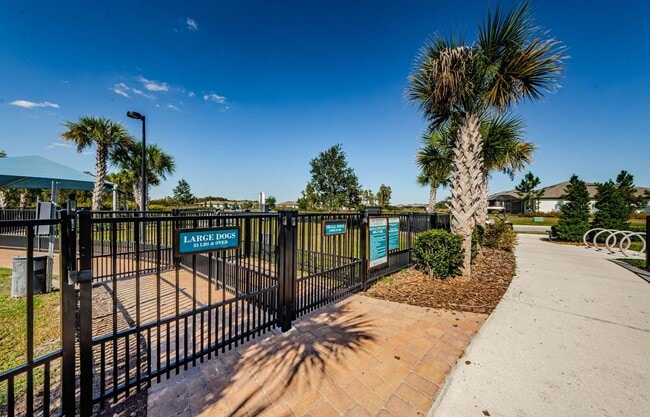 Building Photo - Large Spacious 2 bedroom 2 bath in Del Web