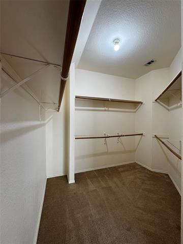 Building Photo - 1519 Snow Trail