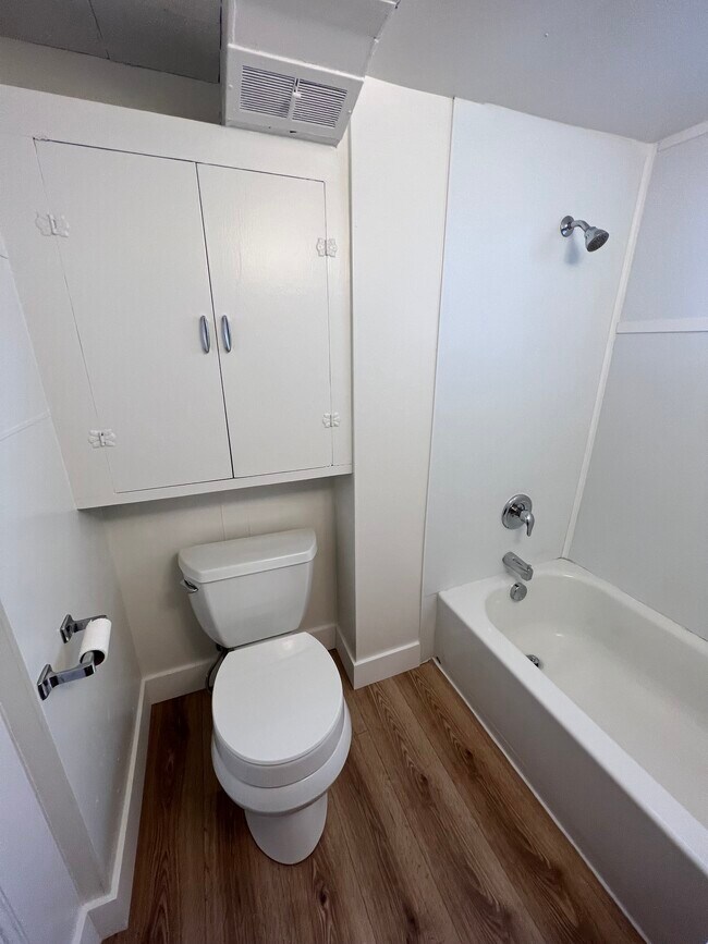 Downstairs Bathroom - 257 N 500 E