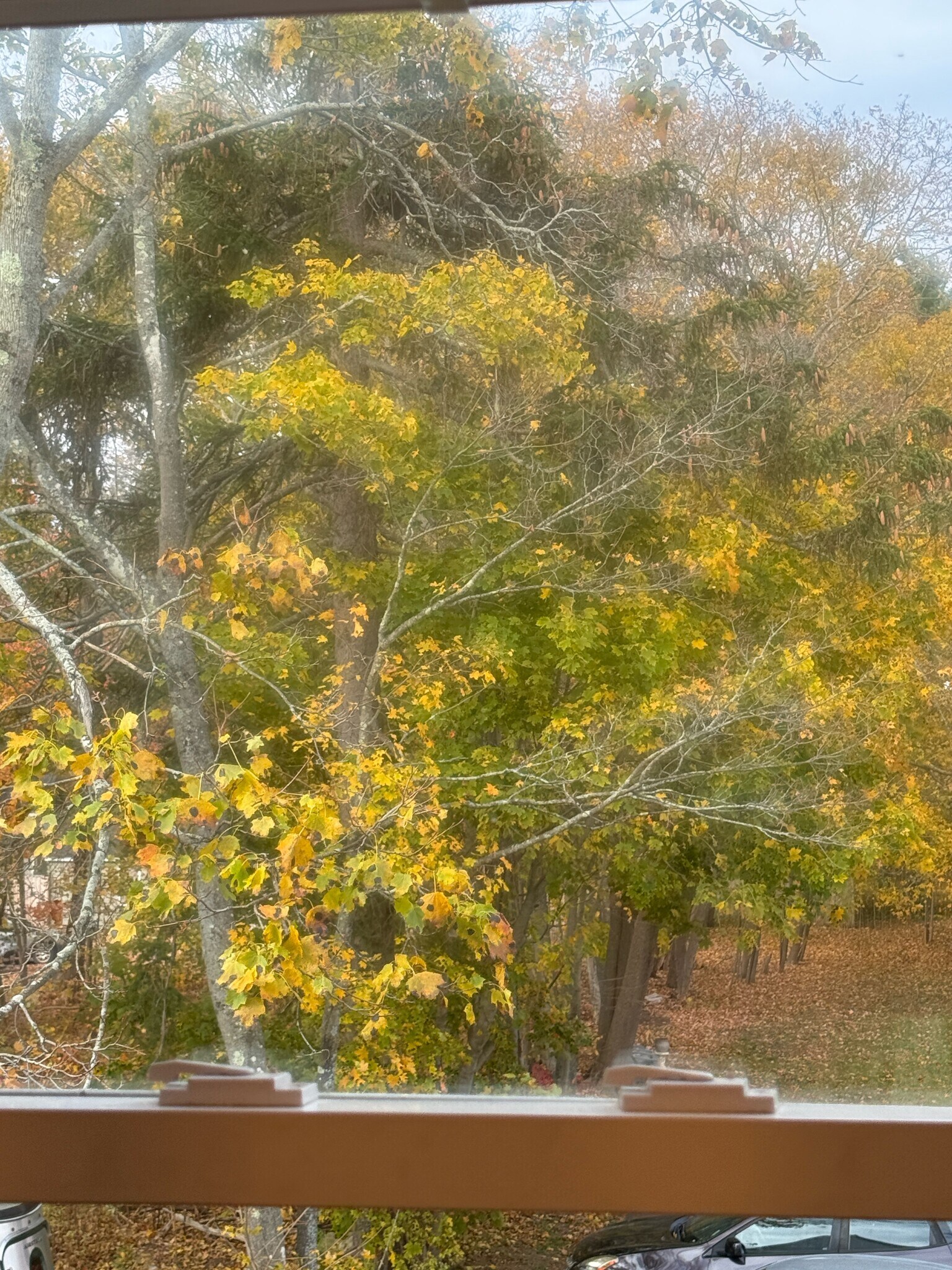 Building Photo - 1060 Forest Ave