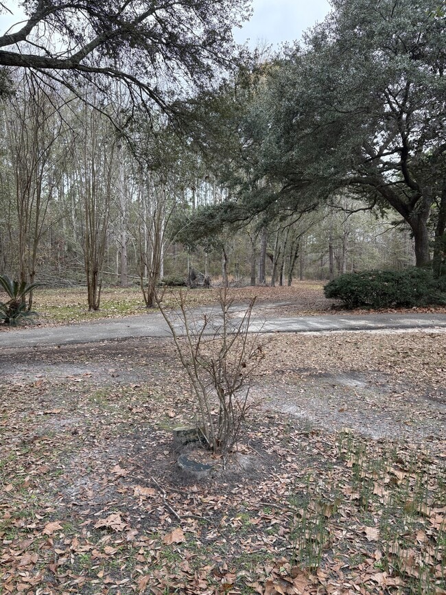 Building Photo - 371 Tom Lodge Rd