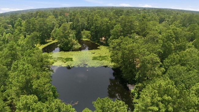 Building Photo - 223 Pin Oak Ln