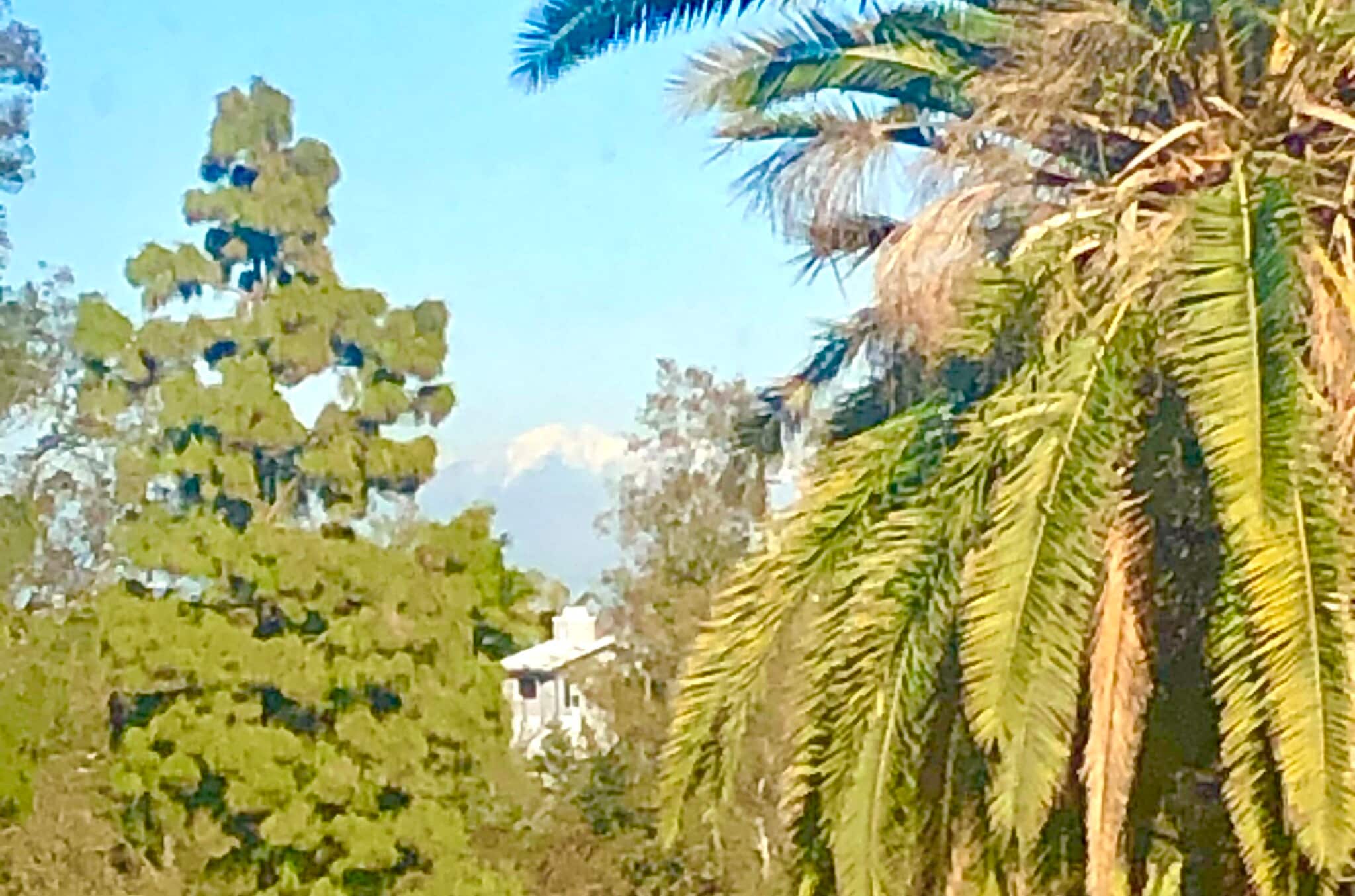 Building Photo - 719 N Cabrillo Ave