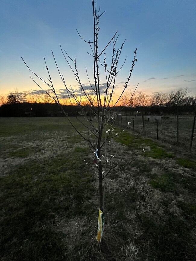 Building Photo - 476 Bill Russell Rd